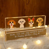 Gift For Dog Mom Personalized Acrylic Block LED Night Light