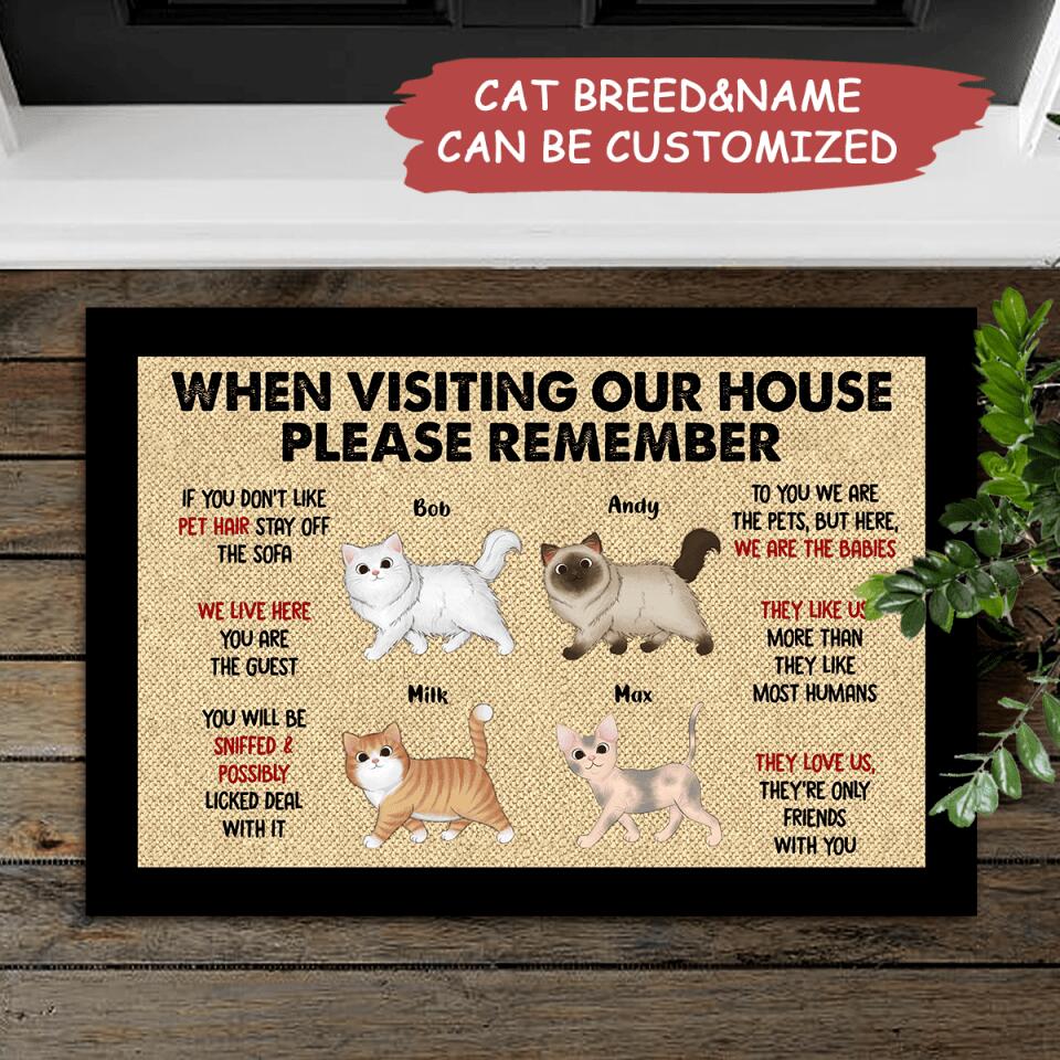 When Visiting Our House - Personalized Funny Cats Decorative Door Mat